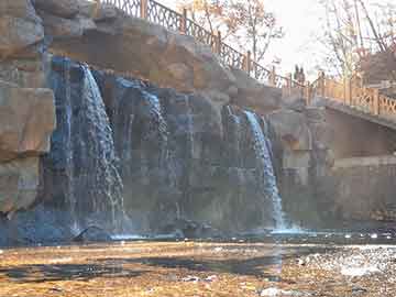 爱上海：Gather the beauty of nature, feel the charm of Shanghai's backyard garden!
