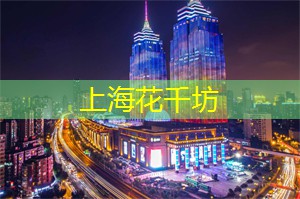 爱上海：揭秘最具魅力的TOP10亲测推荐