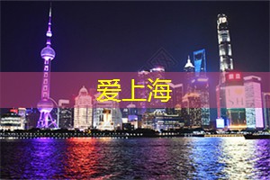上海各区新茶工作室：黑夜中的繁花与相思